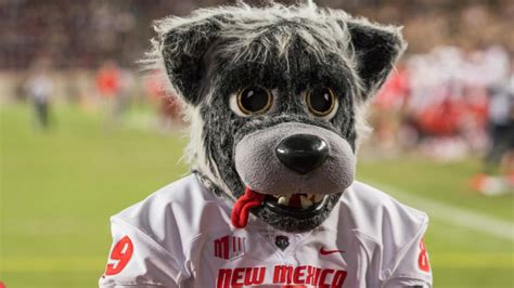 The Role of New Mexico Mascots in Promoting Team Unity